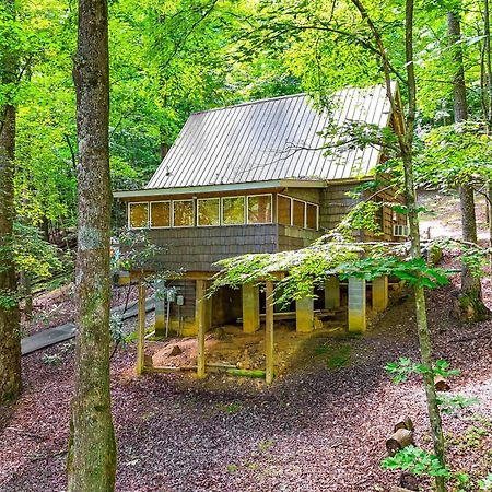 Charming Roaring Gap Cabin With Patio And Fire Pit! Villa Abshers Bagian luar foto